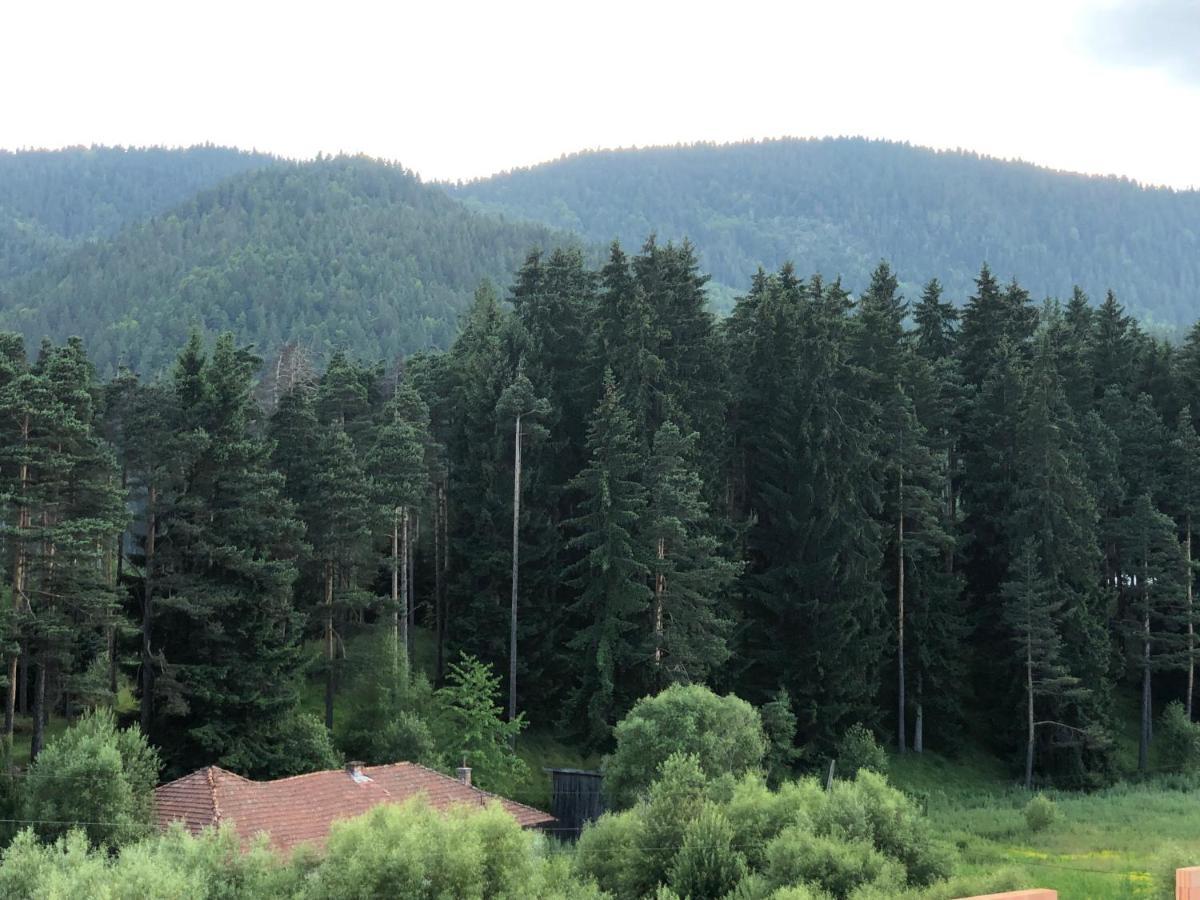 Family Hotel Panorama Sarnitsa Eksteriør billede